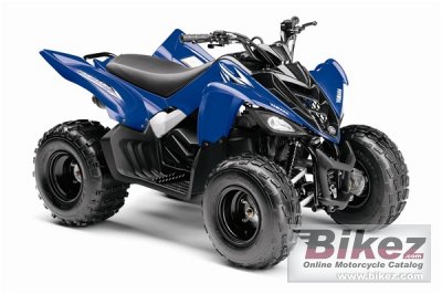 2009 Yamaha Raptor 90 photo